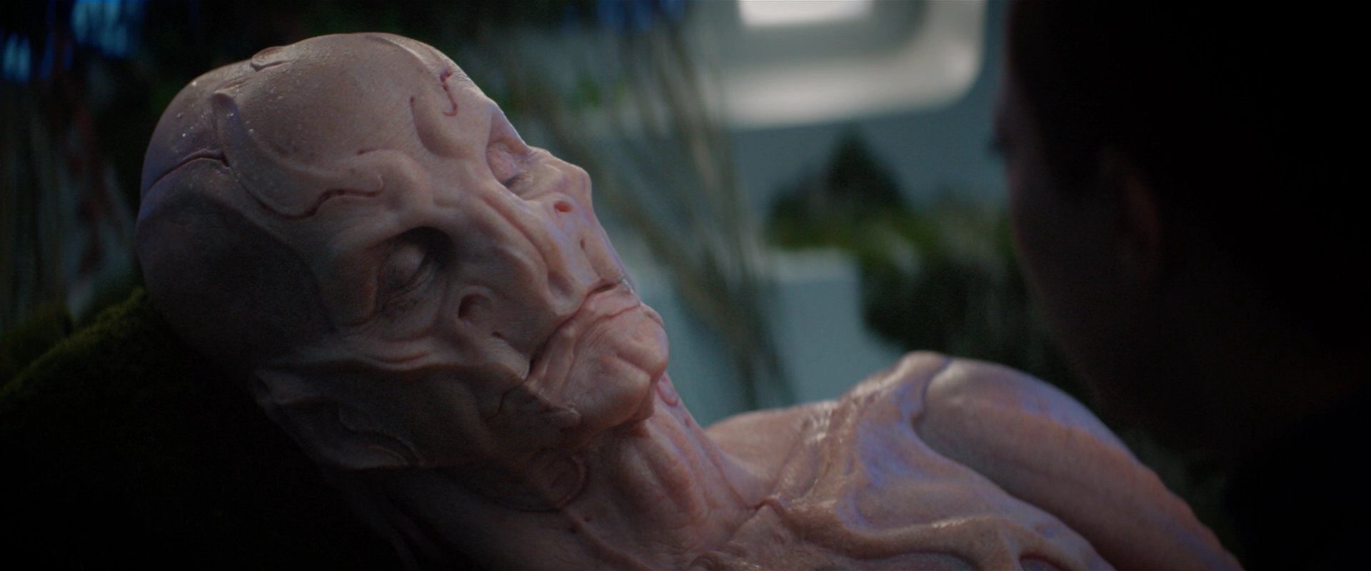 extant_StarTrekDiscovery_2x04-AnObolForCharon_05107.jpg