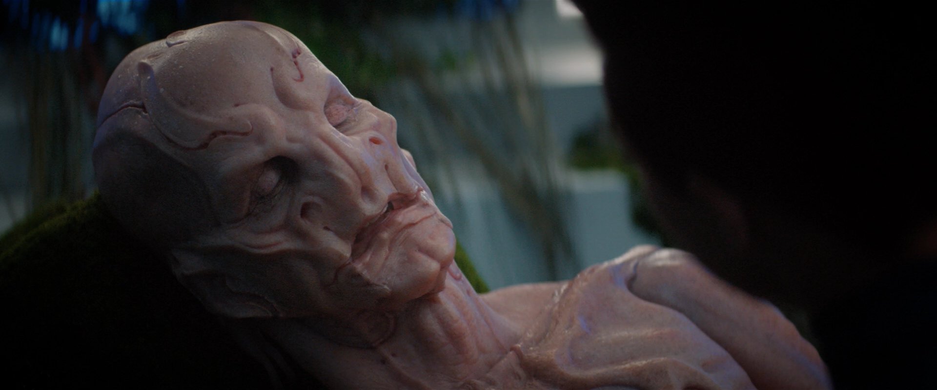 extant_StarTrekDiscovery_2x04-AnObolForCharon_05166.jpg
