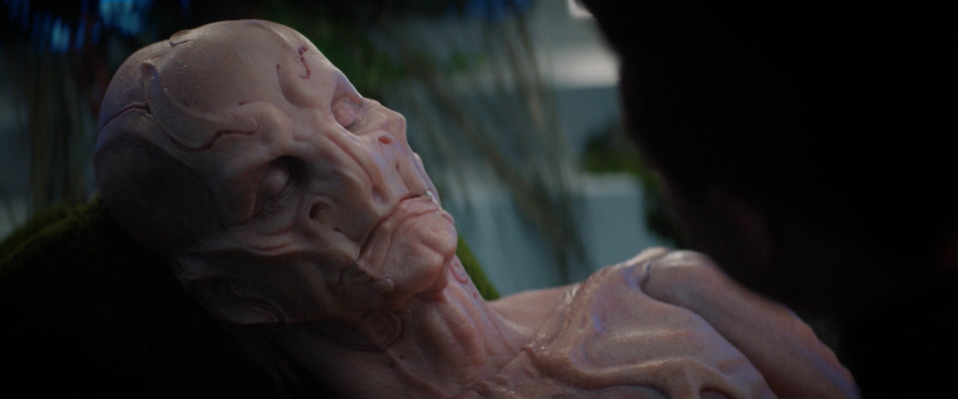 extant_StarTrekDiscovery_2x04-AnObolForCharon_05173.jpg