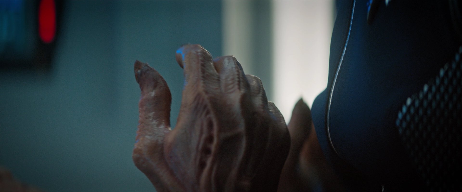 extant_StarTrekDiscovery_2x04-AnObolForCharon_05176.jpg