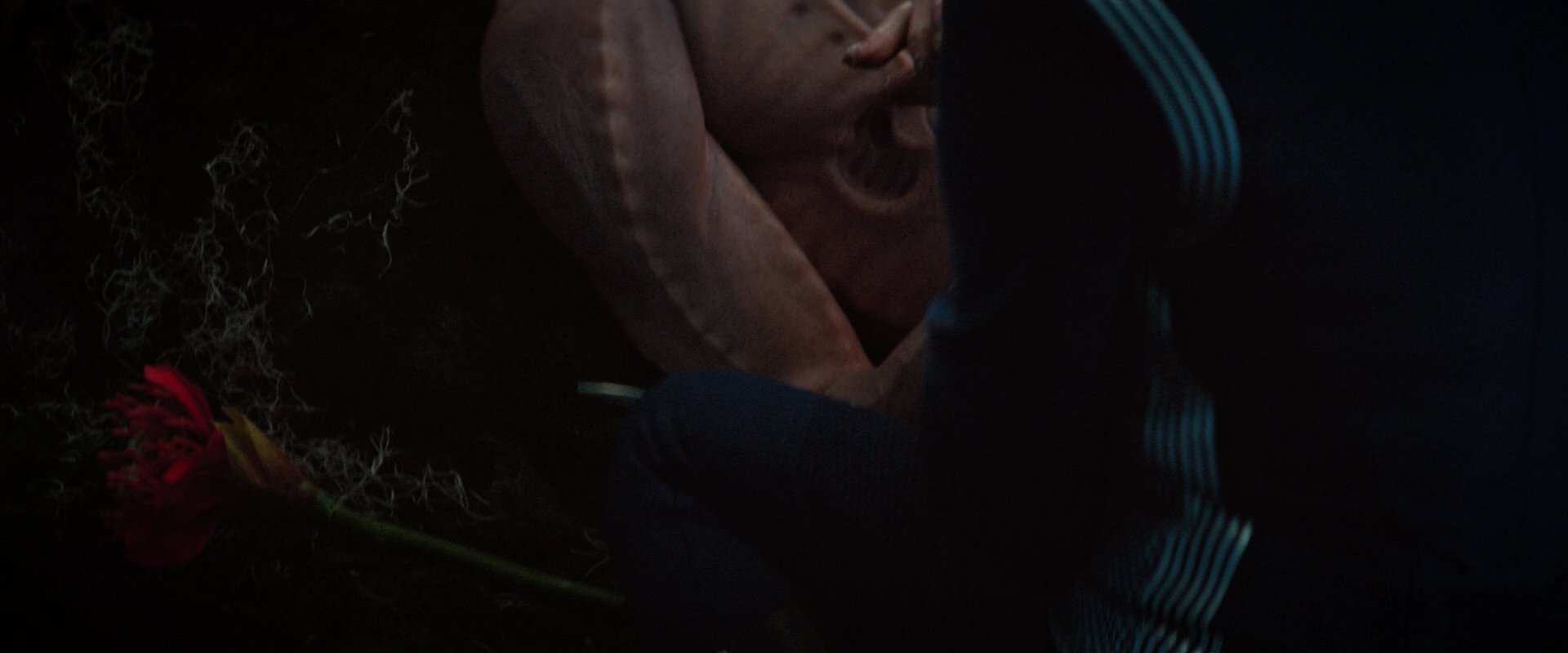 extant_StarTrekDiscovery_2x04-AnObolForCharon_05204.jpg