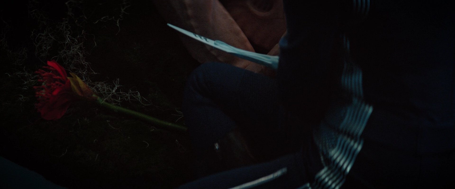 extant_StarTrekDiscovery_2x04-AnObolForCharon_05206.jpg