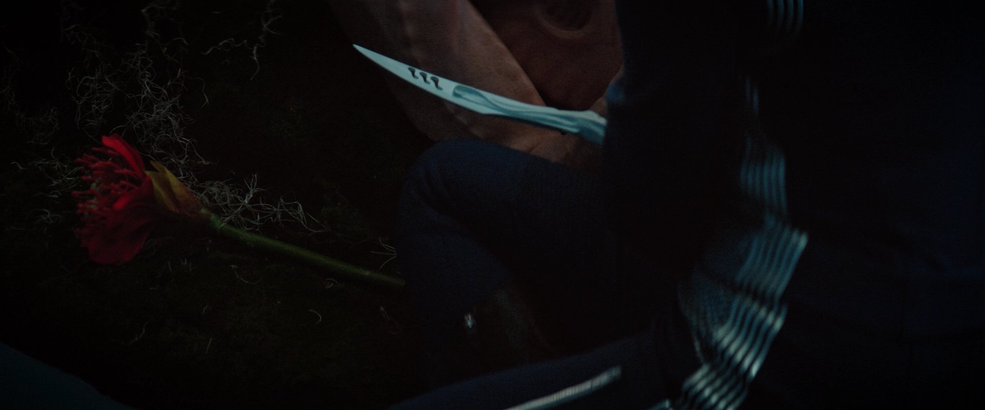 extant_StarTrekDiscovery_2x04-AnObolForCharon_05207.jpg