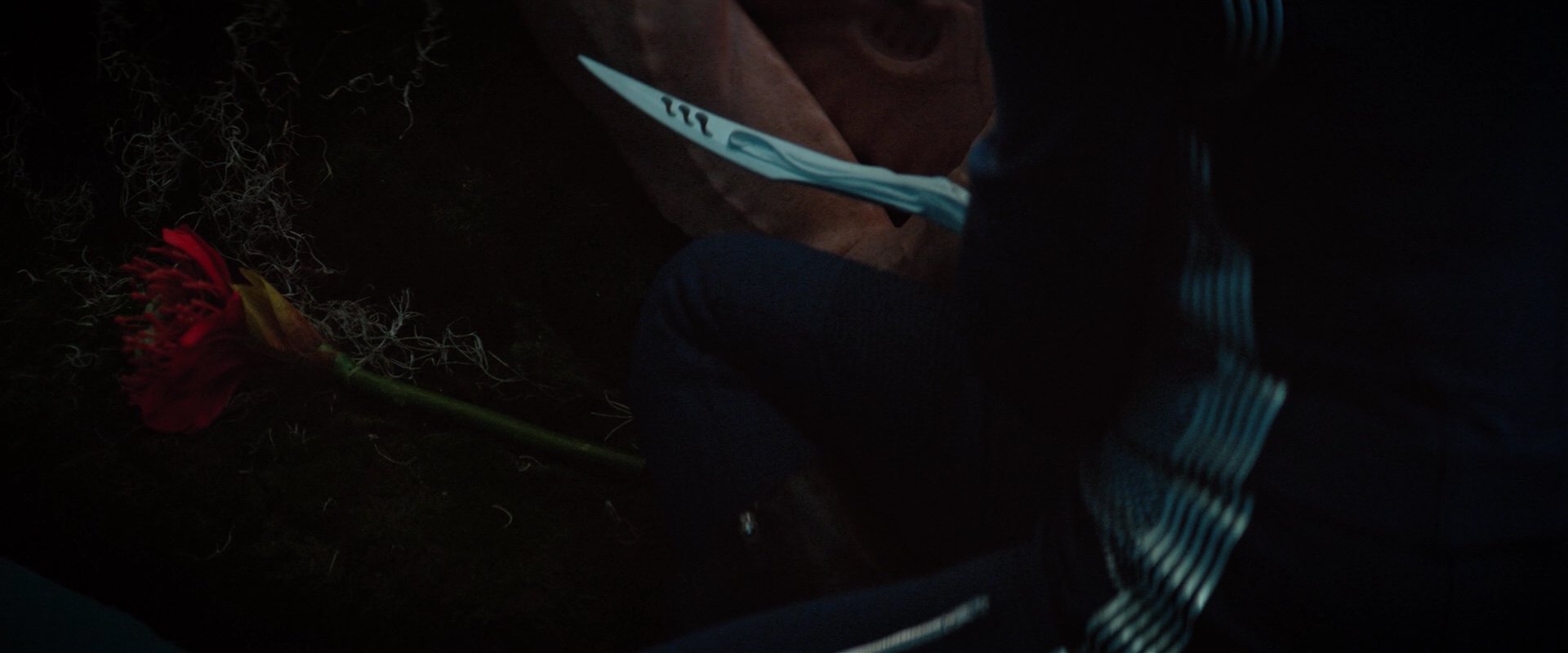 extant_StarTrekDiscovery_2x04-AnObolForCharon_05208.jpg