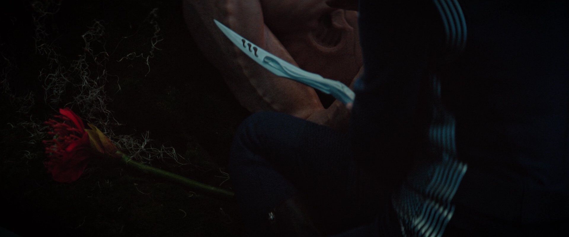 extant_StarTrekDiscovery_2x04-AnObolForCharon_05210.jpg