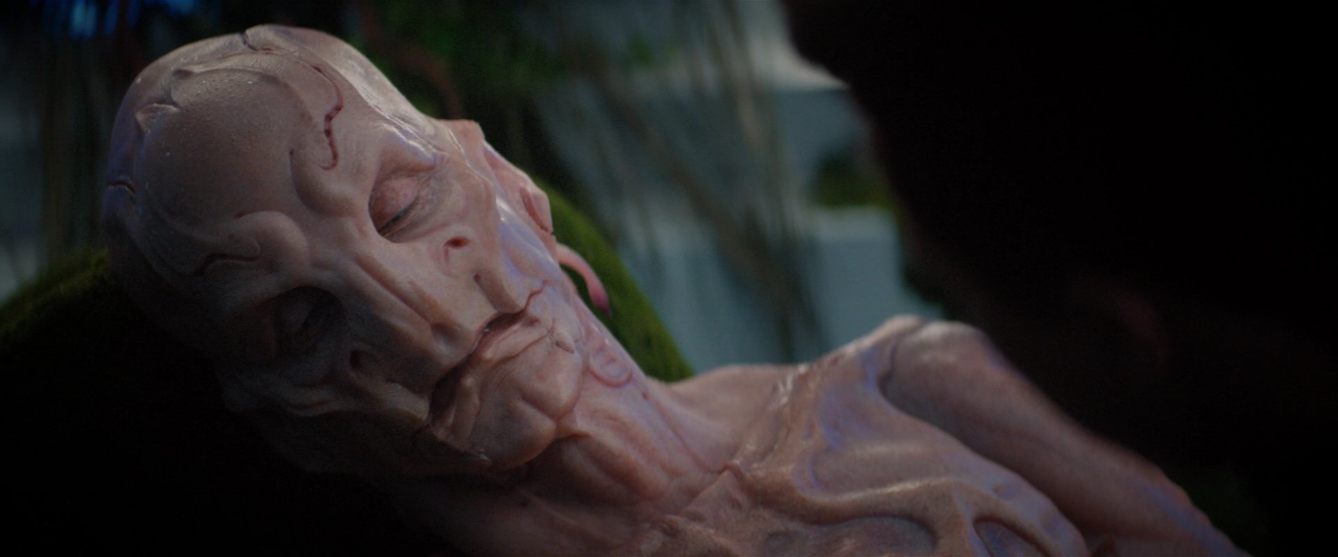 extant_StarTrekDiscovery_2x04-AnObolForCharon_05218.jpg
