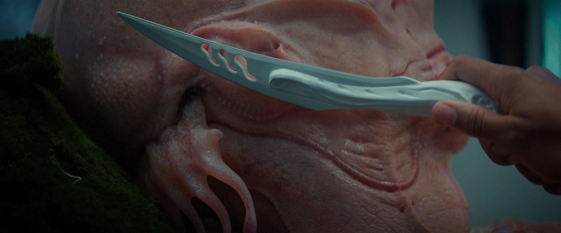 extant_StarTrekDiscovery_2x04-AnObolForCharon_05312.jpg
