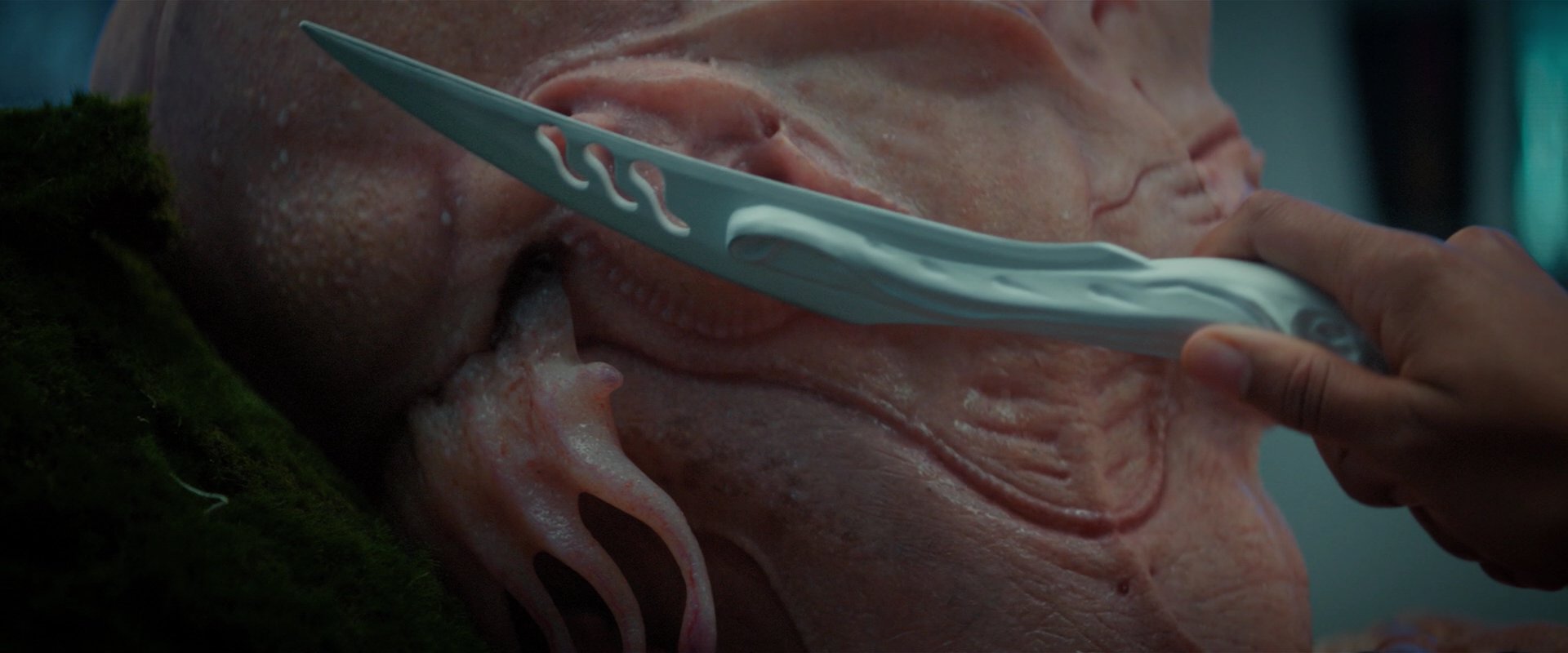 extant_StarTrekDiscovery_2x04-AnObolForCharon_05313.jpg
