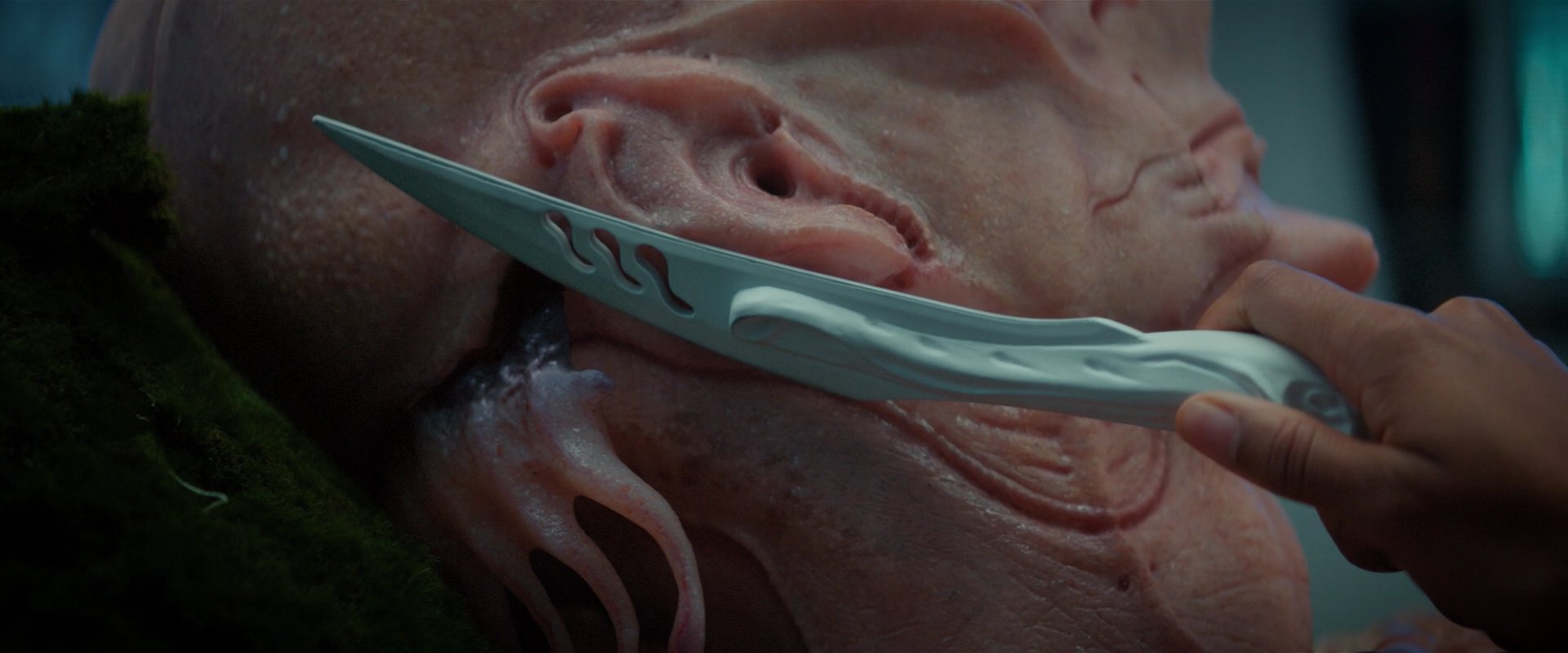 extant_StarTrekDiscovery_2x04-AnObolForCharon_05316.jpg