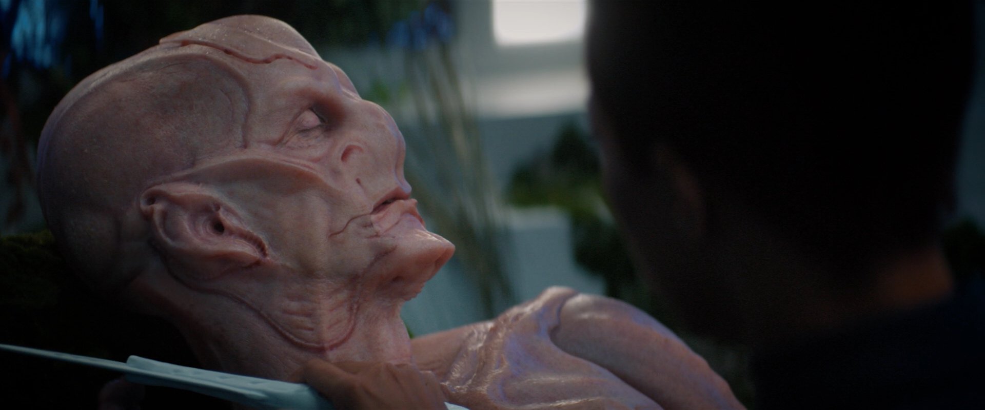 extant_StarTrekDiscovery_2x04-AnObolForCharon_05321.jpg