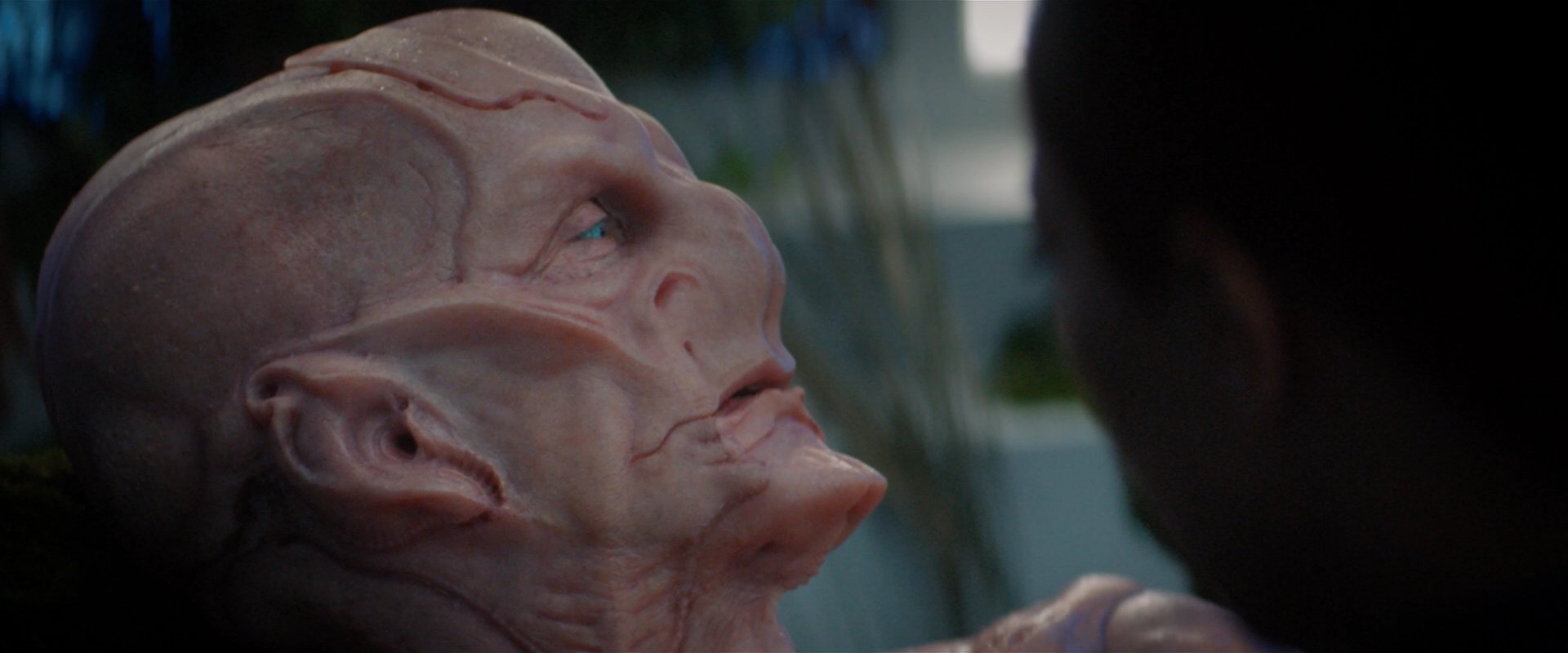 extant_StarTrekDiscovery_2x04-AnObolForCharon_05328.jpg