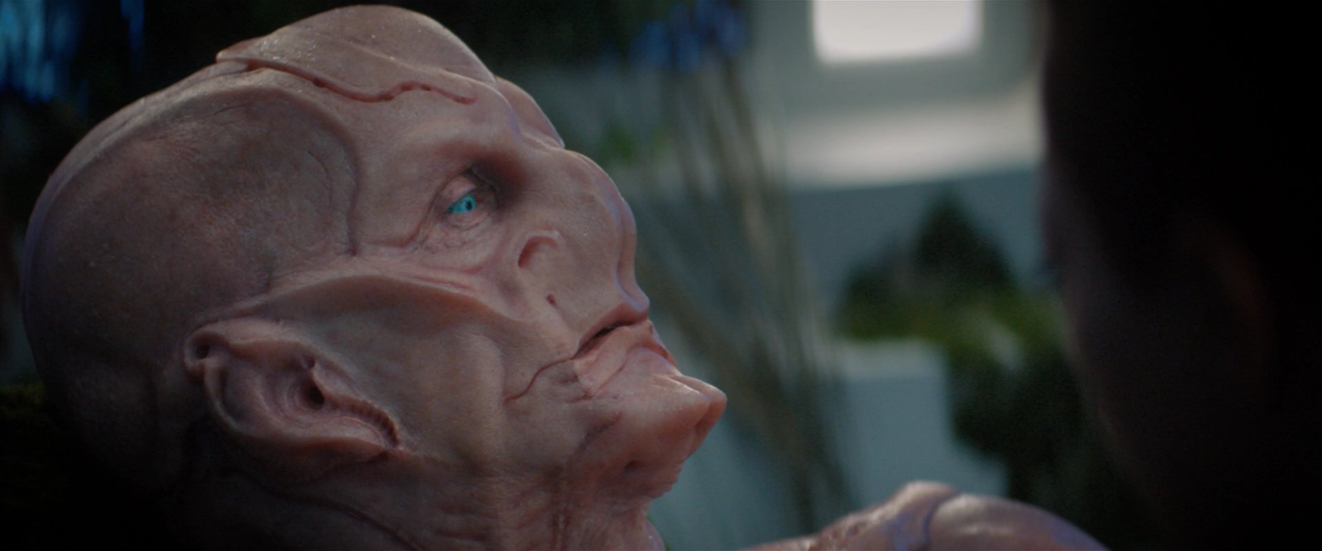 extant_StarTrekDiscovery_2x04-AnObolForCharon_05330.jpg