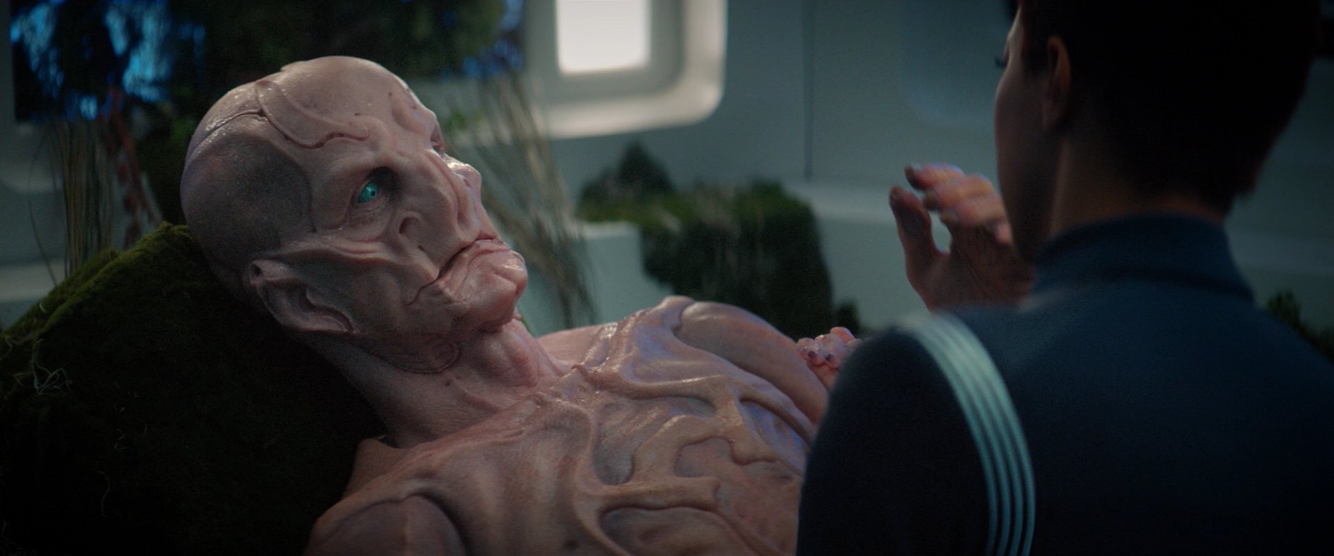 extant_StarTrekDiscovery_2x04-AnObolForCharon_05345.jpg