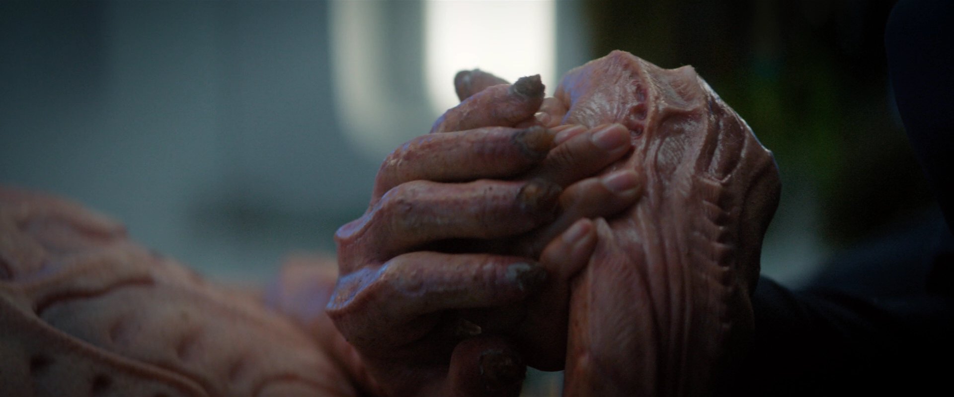 extant_StarTrekDiscovery_2x04-AnObolForCharon_05369.jpg