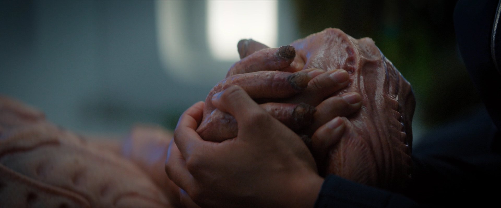 extant_StarTrekDiscovery_2x04-AnObolForCharon_05374.jpg