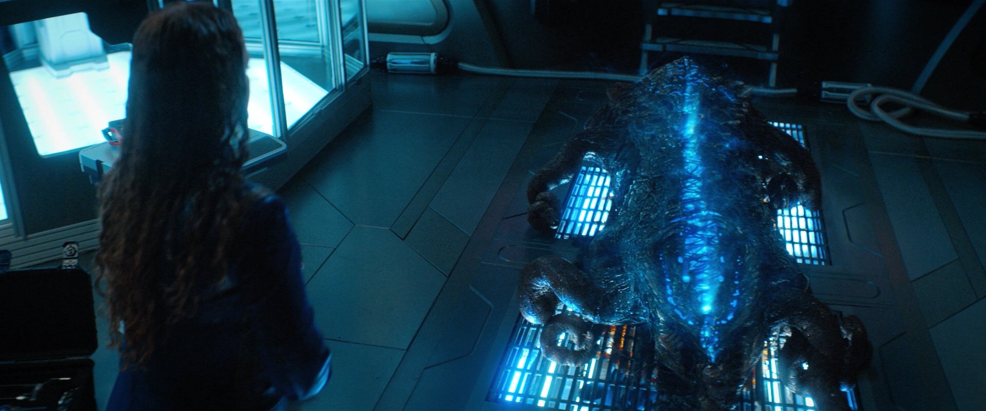 extant_StarTrekDiscovery_2x04-AnObolForCharon_05821.jpg