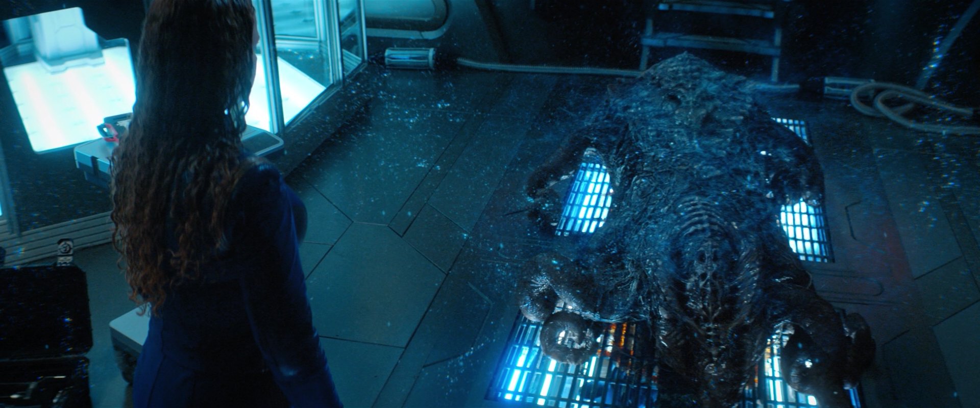 extant_StarTrekDiscovery_2x04-AnObolForCharon_05865.jpg