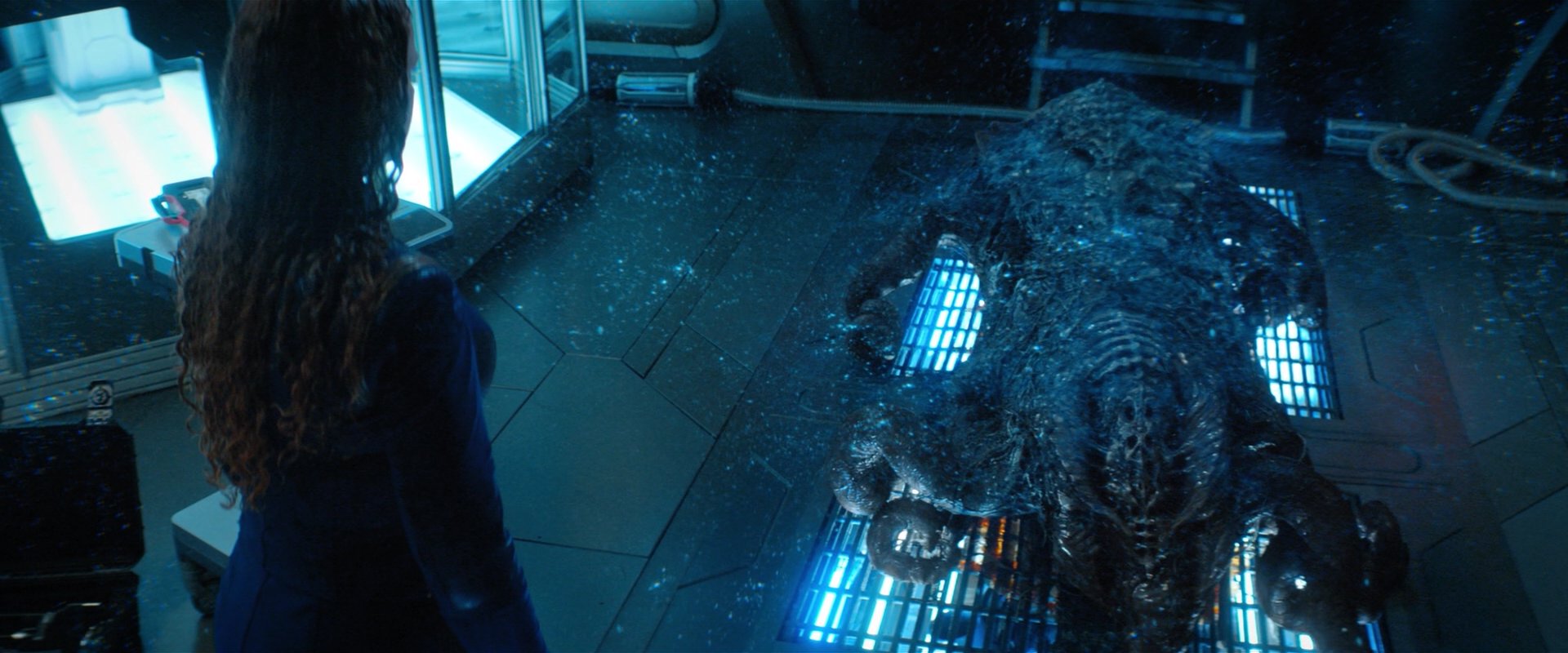 extant_StarTrekDiscovery_2x04-AnObolForCharon_05866.jpg