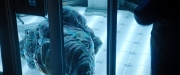 Filename=extant_StarTrekDiscovery_2x04-AnObolForCharon_00452.jpg
Filesize=168KiB
Dimensions=1920x800
Date added=Dec 08, 2019 extant_StarTrekDiscovery_2x04-AnObolForCharon_00452.jpg