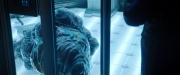 Filename=extant_StarTrekDiscovery_2x04-AnObolForCharon_00455.jpg
Filesize=167KiB
Dimensions=1920x800
Date added=Dec 08, 2019 extant_StarTrekDiscovery_2x04-AnObolForCharon_00455.jpg