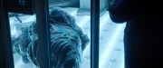 Filename=extant_StarTrekDiscovery_2x04-AnObolForCharon_00456.jpg
Filesize=166KiB
Dimensions=1920x800
Date added=Dec 08, 2019 extant_StarTrekDiscovery_2x04-AnObolForCharon_00456.jpg