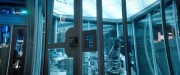 Filename=extant_StarTrekDiscovery_2x04-AnObolForCharon_00598.jpg
Filesize=216KiB
Dimensions=1920x800
Date added=Dec 08, 2019 extant_StarTrekDiscovery_2x04-AnObolForCharon_00598.jpg