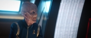 Filename=extant_StarTrekDiscovery_2x04-AnObolForCharon_01501.jpg
Filesize=132KiB
Dimensions=1920x800
Date added=Dec 08, 2019 extant_StarTrekDiscovery_2x04-AnObolForCharon_01501.jpg