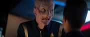 extant_StarTrekDiscovery_2x04-AnObolForCharon_02965.jpg