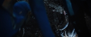 Filename=extant_StarTrekDiscovery_2x04-AnObolForCharon_04607.jpg
Filesize=130KiB
Dimensions=1920x800
Date added=Dec 08, 2019 extant_StarTrekDiscovery_2x04-AnObolForCharon_04607.jpg