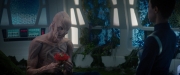 Filename=extant_StarTrekDiscovery_2x04-AnObolForCharon_04809.jpg
Filesize=159KiB
Dimensions=1920x800
Date added=Dec 08, 2019 extant_StarTrekDiscovery_2x04-AnObolForCharon_04809.jpg