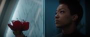 Filename=extant_StarTrekDiscovery_2x04-AnObolForCharon_04846.jpg
Filesize=104KiB
Dimensions=1920x800
Date added=Dec 08, 2019 extant_StarTrekDiscovery_2x04-AnObolForCharon_04846.jpg