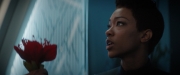 Filename=extant_StarTrekDiscovery_2x04-AnObolForCharon_04847.jpg
Filesize=103KiB
Dimensions=1920x800
Date added=Dec 08, 2019 extant_StarTrekDiscovery_2x04-AnObolForCharon_04847.jpg