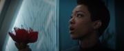 Filename=extant_StarTrekDiscovery_2x04-AnObolForCharon_04848.jpg
Filesize=106KiB
Dimensions=1920x800
Date added=Dec 08, 2019 extant_StarTrekDiscovery_2x04-AnObolForCharon_04848.jpg