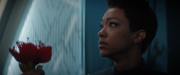 Filename=extant_StarTrekDiscovery_2x04-AnObolForCharon_04850.jpg
Filesize=104KiB
Dimensions=1920x800
Date added=Dec 08, 2019 extant_StarTrekDiscovery_2x04-AnObolForCharon_04850.jpg