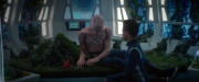Filename=extant_StarTrekDiscovery_2x04-AnObolForCharon_04899.jpg
Filesize=193KiB
Dimensions=1920x800
Date added=Dec 08, 2019 extant_StarTrekDiscovery_2x04-AnObolForCharon_04899.jpg