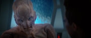 Filename=extant_StarTrekDiscovery_2x04-AnObolForCharon_04937.jpg
Filesize=100KiB
Dimensions=1920x800
Date added=Dec 08, 2019 extant_StarTrekDiscovery_2x04-AnObolForCharon_04937.jpg