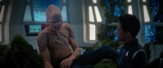 Filename=extant_StarTrekDiscovery_2x04-AnObolForCharon_04940.jpg
Filesize=149KiB
Dimensions=1920x800
Date added=Dec 08, 2019 extant_StarTrekDiscovery_2x04-AnObolForCharon_04940.jpg