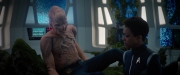 Filename=extant_StarTrekDiscovery_2x04-AnObolForCharon_04941.jpg
Filesize=139KiB
Dimensions=1920x800
Date added=Dec 08, 2019 extant_StarTrekDiscovery_2x04-AnObolForCharon_04941.jpg