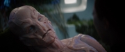 Filename=extant_StarTrekDiscovery_2x04-AnObolForCharon_05054.jpg
Filesize=102KiB
Dimensions=1920x800
Date added=Dec 08, 2019 extant_StarTrekDiscovery_2x04-AnObolForCharon_05054.jpg