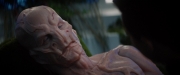 Filename=extant_StarTrekDiscovery_2x04-AnObolForCharon_05236.jpg
Filesize=99KiB
Dimensions=1920x800
Date added=Dec 08, 2019 extant_StarTrekDiscovery_2x04-AnObolForCharon_05236.jpg