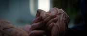 Filename=extant_StarTrekDiscovery_2x04-AnObolForCharon_05368.jpg
Filesize=101KiB
Dimensions=1920x800
Date added=Dec 08, 2019 extant_StarTrekDiscovery_2x04-AnObolForCharon_05368.jpg