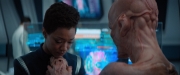 Filename=extant_StarTrekDiscovery_2x04-AnObolForCharon_05482.jpg
Filesize=142KiB
Dimensions=1920x800
Date added=Dec 08, 2019 extant_StarTrekDiscovery_2x04-AnObolForCharon_05482.jpg