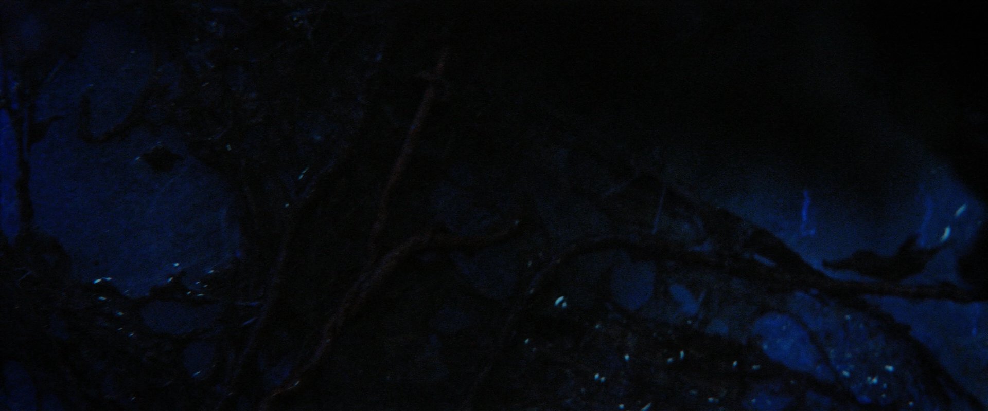 extant_StarTrekDiscovery_2x05-SaintsOfImperfection_01613.jpg