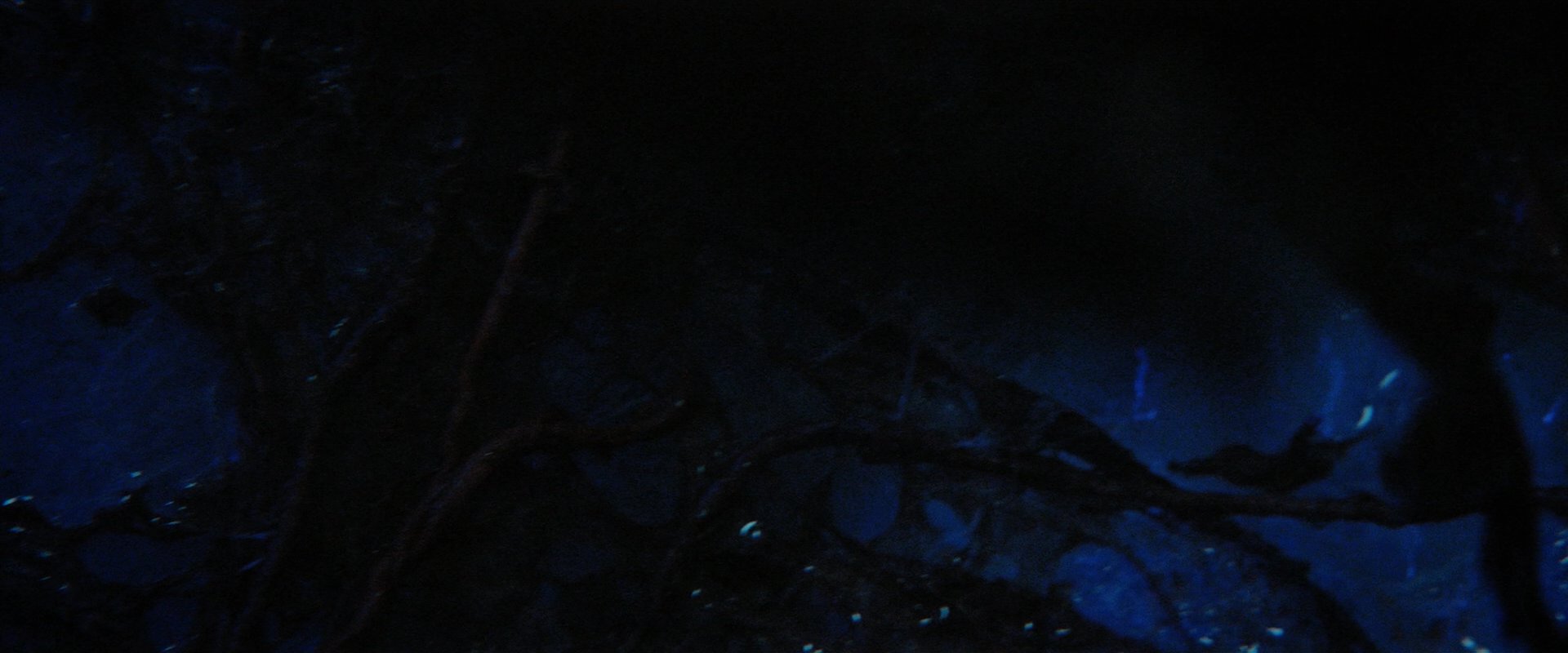 extant_StarTrekDiscovery_2x05-SaintsOfImperfection_01614.jpg