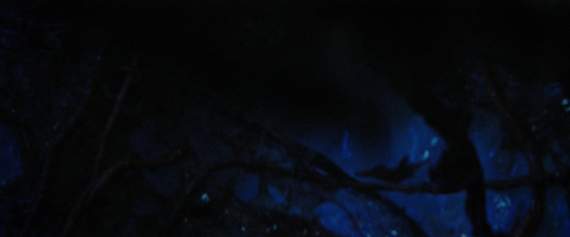 extant_StarTrekDiscovery_2x05-SaintsOfImperfection_01615.jpg extant_StarTrekDiscovery_2x05-SaintsOfImperfection_01615.jpg