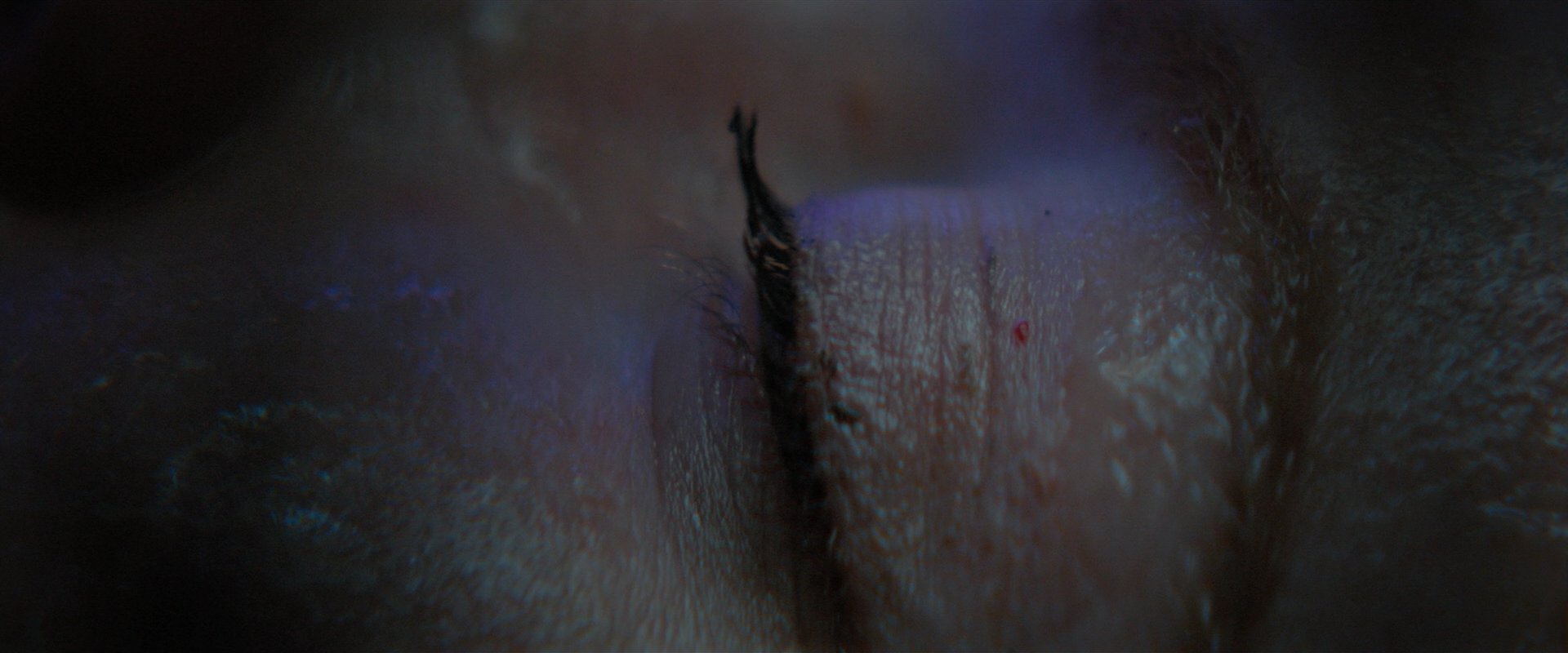 extant_StarTrekDiscovery_2x05-SaintsOfImperfection_01618.jpg