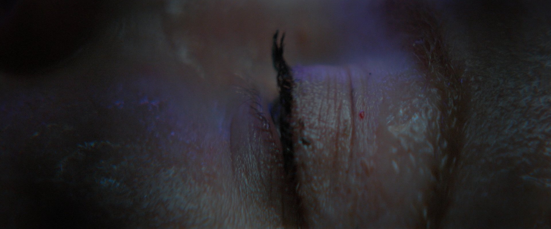 extant_StarTrekDiscovery_2x05-SaintsOfImperfection_01619.jpg