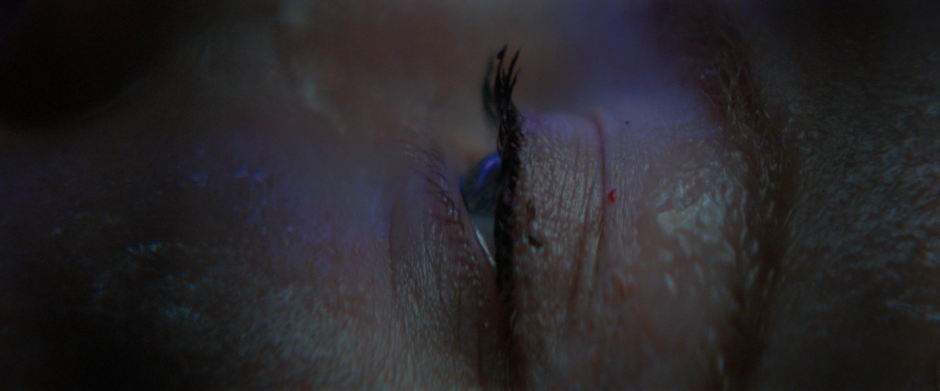 extant_StarTrekDiscovery_2x05-SaintsOfImperfection_01621.jpg