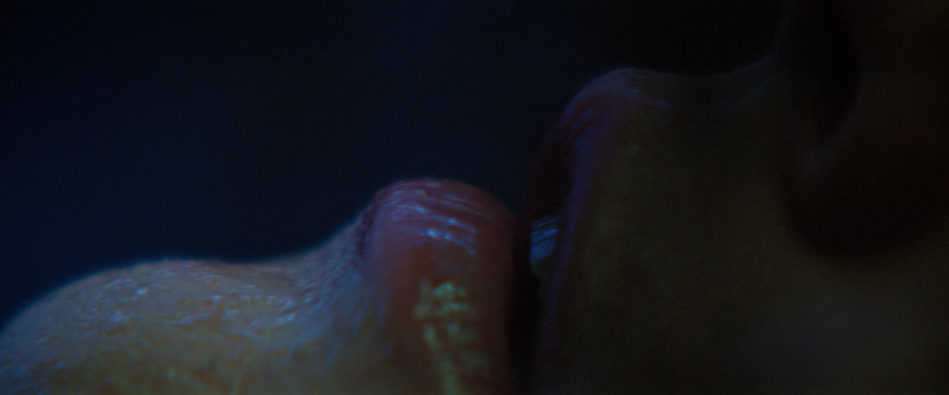 extant_StarTrekDiscovery_2x05-SaintsOfImperfection_01624.jpg
