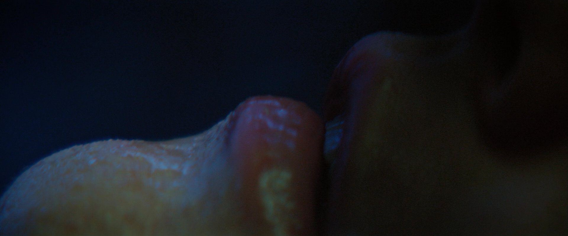 extant_StarTrekDiscovery_2x05-SaintsOfImperfection_01625.jpg